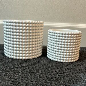 Dotted pots